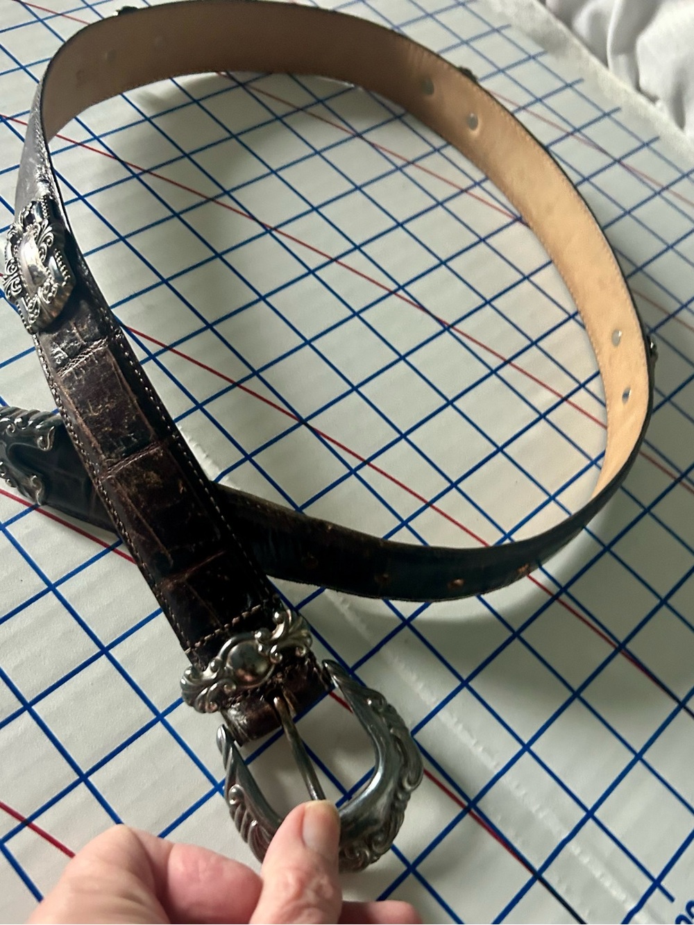 Brighton EMMA Dark Brown Croc-Emboss Leather Belt w/ Silver Ornate Buckle - 3165
